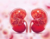 Acute renal failure: what is the danger?