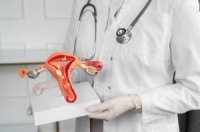 Thin endometrium: implications for fertility and pregnancy