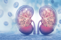 Chronic Kidney Disease (CKD): How to Recognize the Threat in Time?