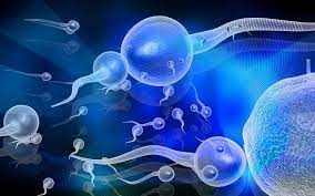 Грудочки в спермі: чому утворюються і коли турбуватися?, фото