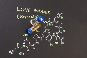 Pregnancy and oxytocin: what you need to know?, фото