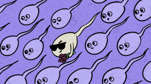 “The Sperm Race”: Fact or Myth?, фото