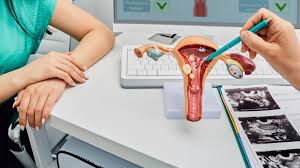 Вагітність за наявності одного яєчника: чи можливо це?, фото