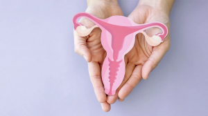 Pelvic Inflammatory Disease (PID) and Infertility: Is There a Way Out?, фото