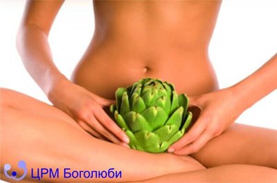 Вульводинія