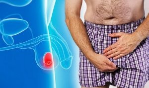Pain in testicles