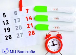 Ановуляторний цикл: що треба знати?