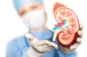 Urinary tract infections: what you need to know?