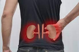 Kidney disease - glomerulonephritis: why danger?