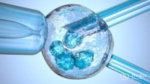 Cryopreservation oocytes : what is it and how does it happen?