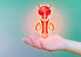 Hydrocele: What is hydrocele and how to treat it?