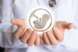 Idiopathic infertility: how does the microbiome affect it?