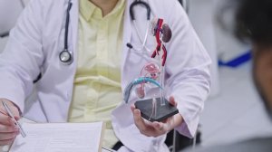 Visit to a Urologist: Preventing Prostate and Testicular Diseases