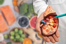 Kidney problems: what should you pay attention to?